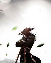 大奈兽人收集册(西幻np冒险兽人)